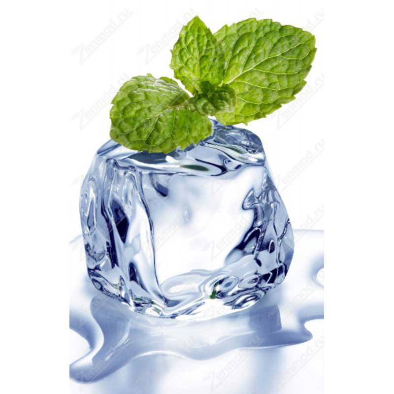 Фото и внешний вид — FlavorWest Blue Ice 10мл