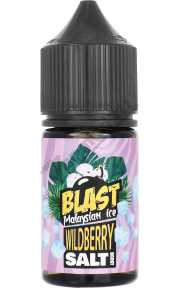 Blast Malaysian Ice SALT - Wildberry 30мл