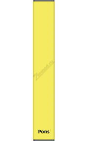 Pons Disposable Device - Lemon Ice