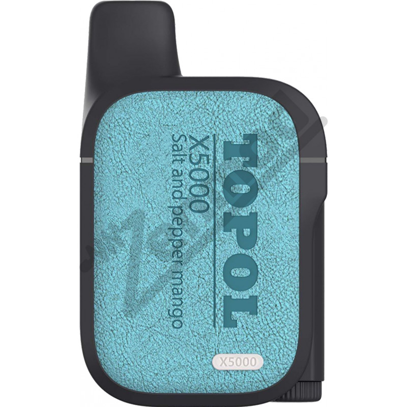 Фото и внешний вид — TOPOL X5000 - Пряный Манго и Соль